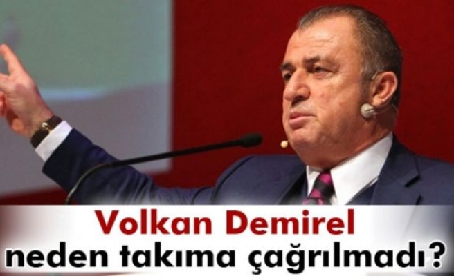 Fatih Terim'den Volkan Demirel açıklaması