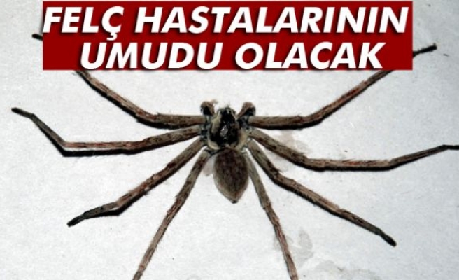 FELÇ HASTALARINA UMUT OLACAK!