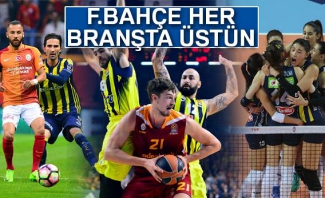 FENERBAHÇE HER BRANŞTA ÜSTÜN!