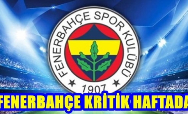 Fenerbahçe kritik dönemde