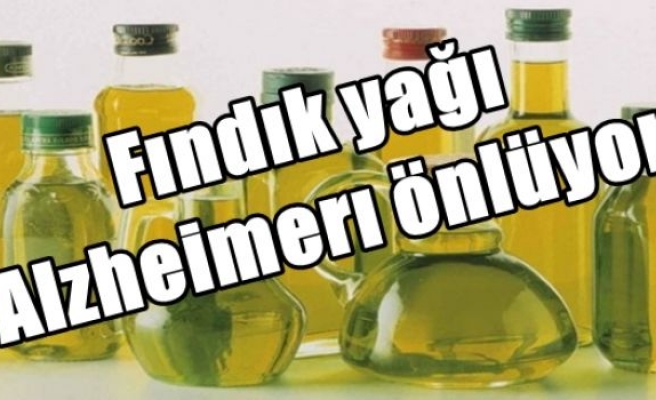 Fındık yağı Alzheimerı önlüyor