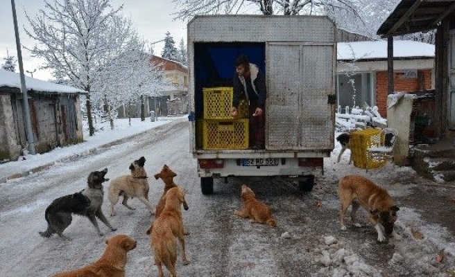 Fırıncıdan Her Gün İnsanlik Dersi