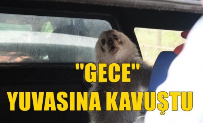 'Gece' Yuvasına Kavuştu