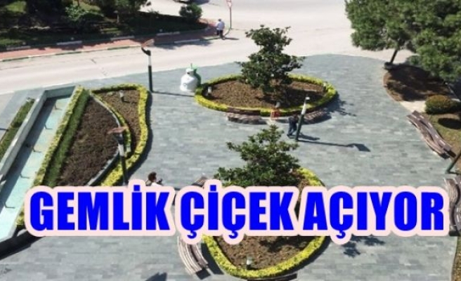 Gemlik Çiçek Açıyor