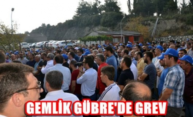 Gemlik Gübre'de grev