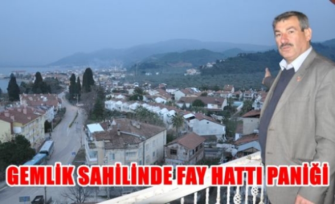 Gemlik sahilinde fay hattı paniği