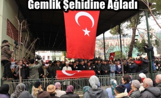 Gemlik Şehidine Ağladı 