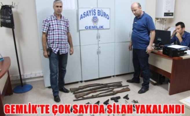 Gemlik'te çok sayıda silah yakalandı 