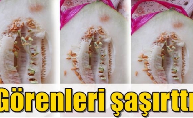 Görenleri şaşırttı