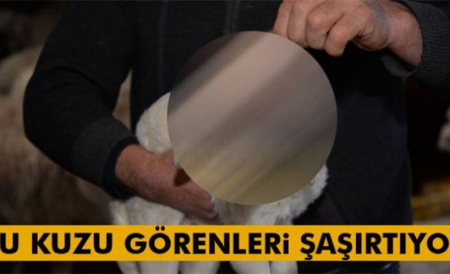 Görenleri ŞOKE EDEN KUZU!