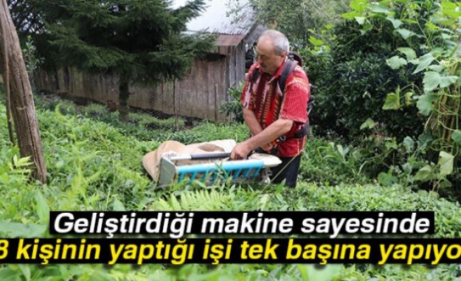 Günde 1 ton çay topluyor