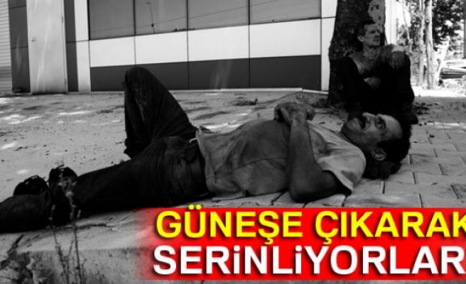 GÜNEŞE ÇIKARAK SERİNLİYORLAR!