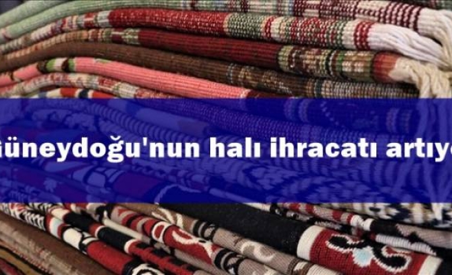 Güneydoğu'nun halı ihracatı artıyor