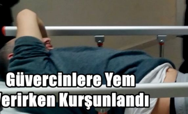 Güvercinlere Yem Verirken Kurşunlandı