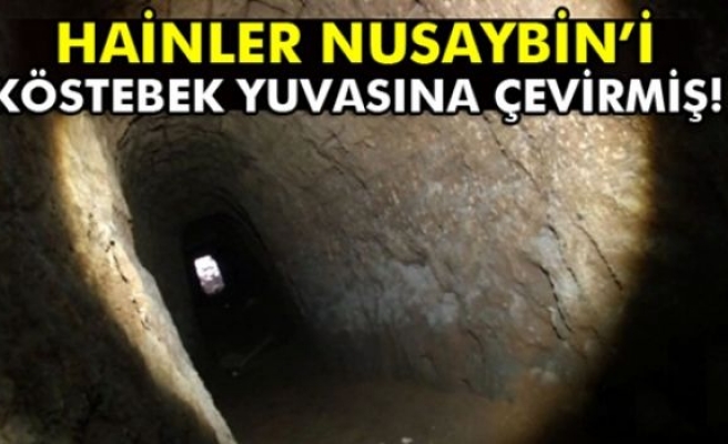 Hainler Nusaybin’in altını köstebek yuvasına çevirmiş