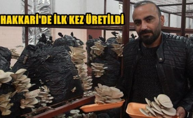 Hakkari’de ilk kez üretildi