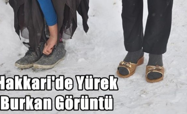 Hakkari'de yürek burkan görüntü