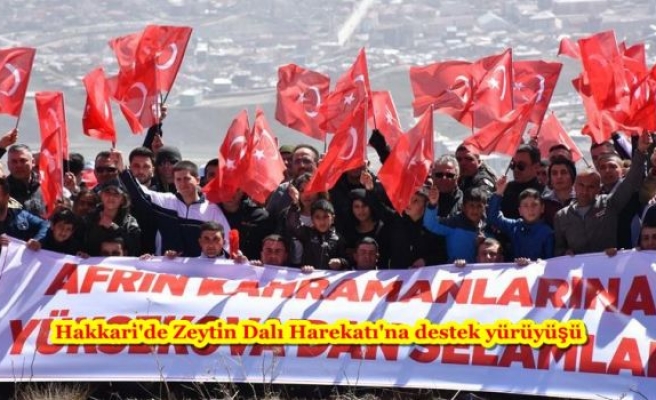 Hakkari'de Zeytin Dalı Harekatı'na destek yürüyüşü