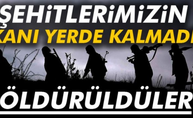 Hakkari'deki çatışmada 7 PKK’lı öldürüldü