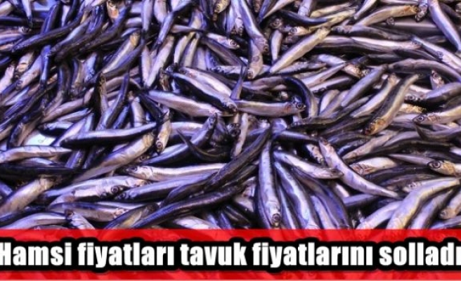 Hamsi fiyatları tavuk fiyatlarını solladı