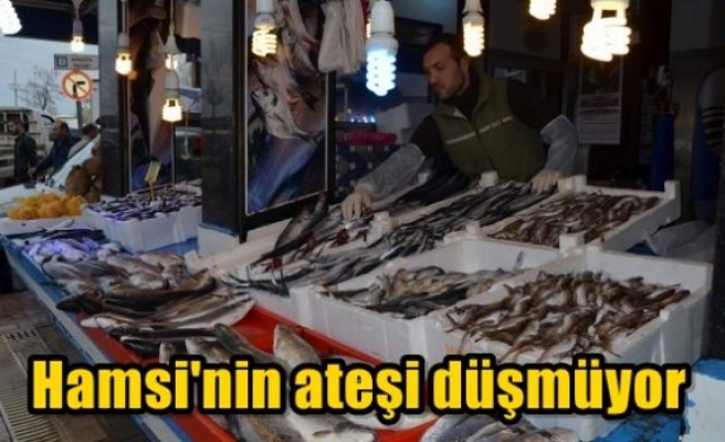 Hamsi'nin ateşi düşmüyor