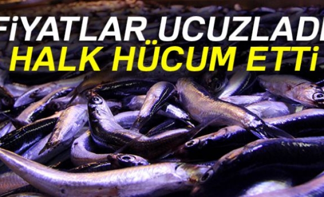 Hamsinin Fiyatı Düştü!