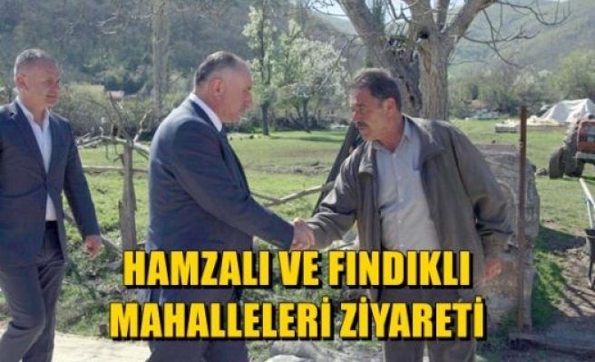 Hamzalı ve Fındıklı Mahalleleri Ziyaret