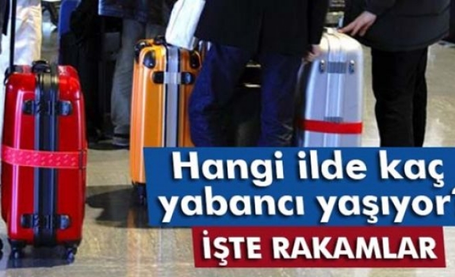 Hangi ilde kaç yabancı yaşıyor?