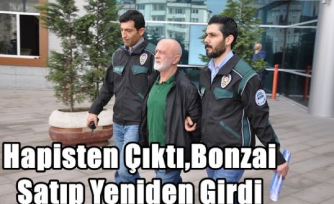 Hapisten Çıktı,Bonzai Satıp Yeniden Girdi