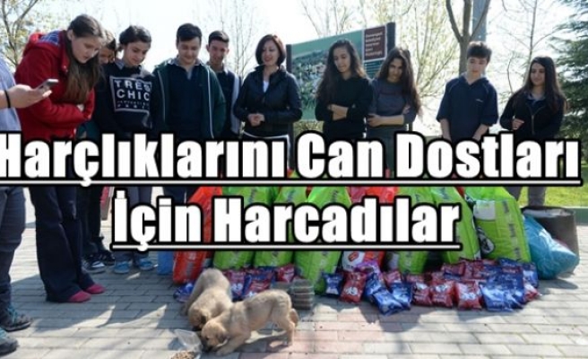 Harçlıklarını Can Dostları İçin Harcadılar