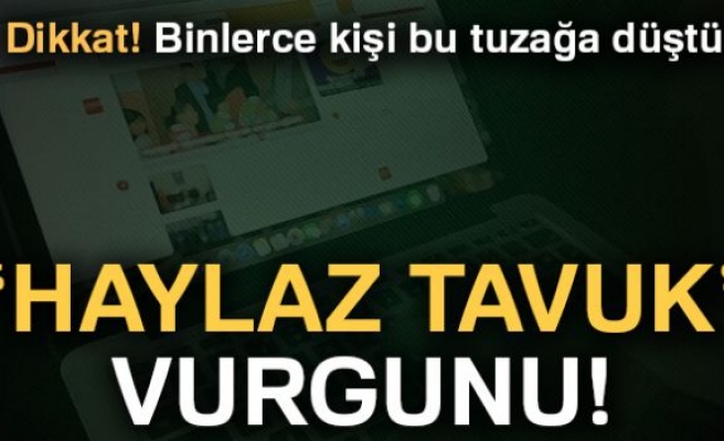 HAYLAZ TAVUK VURGUNU!