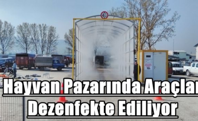 Hayvan Pazarında Araçlar Dezenfekte Ediliyor