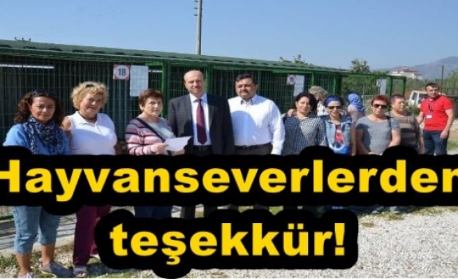 Hayvanseverlerden teşekkür!