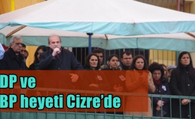 HDP ve DBP heyeti Cizre’de