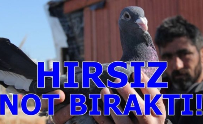 HIRSIZ NOT BIRAKTI!