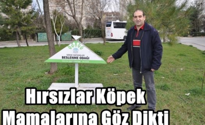 Hırsızlar Köpek Mamalarına Göz Dikti