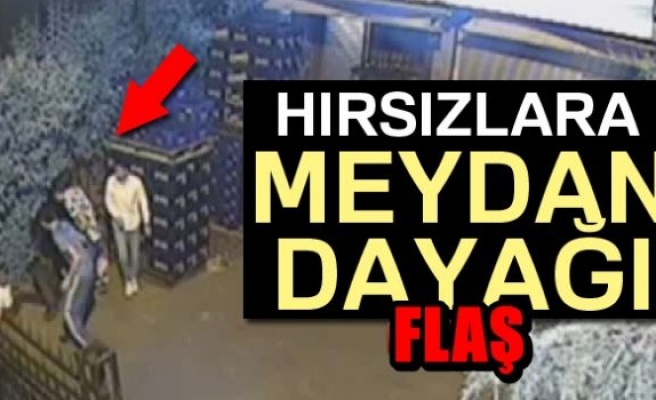 HIRSIZLARA MEYDAN DAYAĞI!