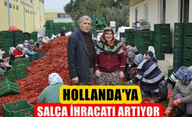 Hollanda'ya salça ihracatı artıyor