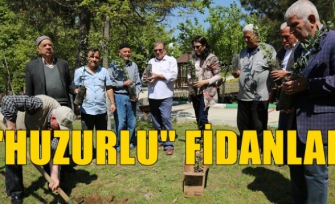 “Huzurlu” Fidanlar