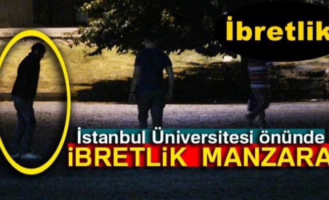 İbretlik 'bonzai' manzarası