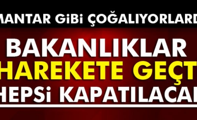 İki bakanlık harekete geçti! Kapatılacak