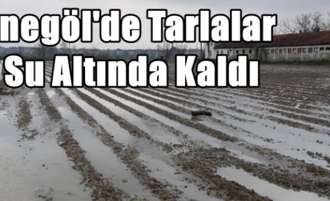 İnegöl'de Tarlalar Su Altında Kaldı