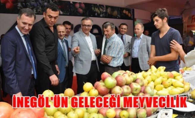 İnegöl'ün geleceği meyvecilik