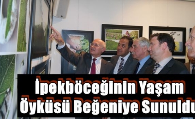 İpekböceğinin Yaşam Öyküsü Beğeniye Sunuldu