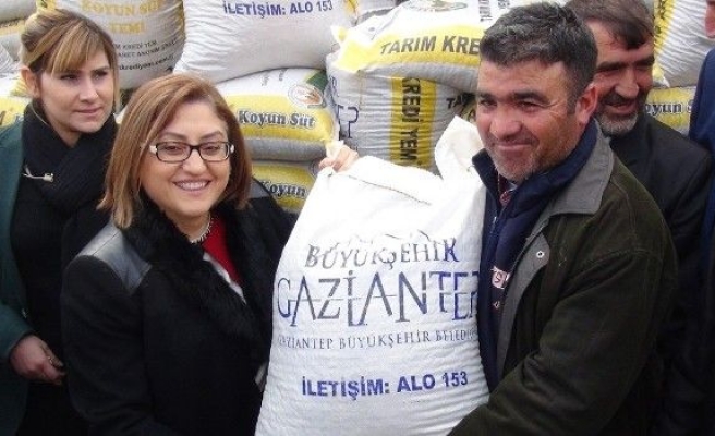 İslahiye’de 436 Çiftçiye 218 Ton Yem Dağıtıldı