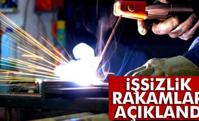 İşsizlik Ocak'ta Arttı