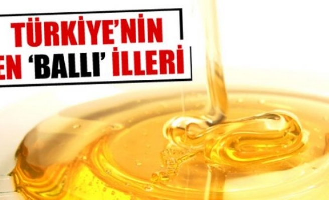 İşte en 'ballı' iller