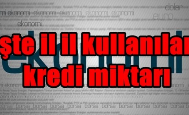 İşte il il kullanılan kredi miktarı