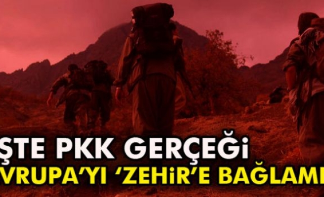 İşte PKK Gerçeği!