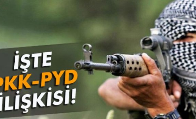 İşte PKK-PYD ilişkisi